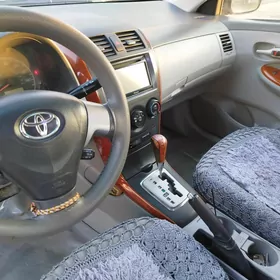 Toyota Corolla 2010