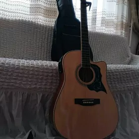 Dury sesli paket gitara 
