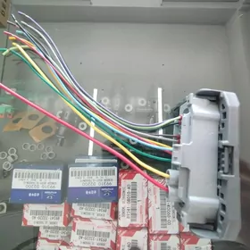 Shteker Fara, Partronik
