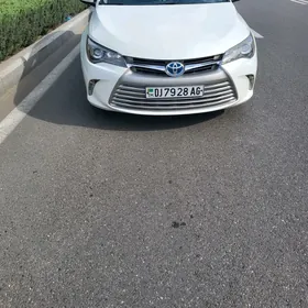safyor