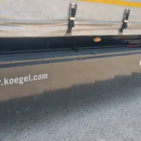 Palatnisa yashik kogel