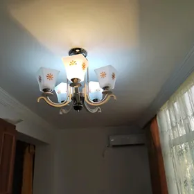 ЛЮСТРА