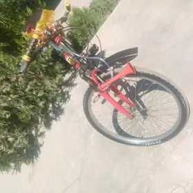 Sportıwnı tıgır
