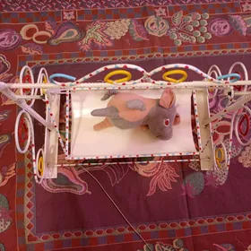 sallanjak