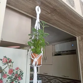 Кашпон для цветов
