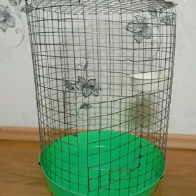 клетка
