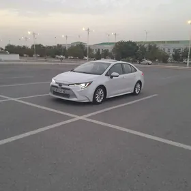 Toyota Corolla 2020