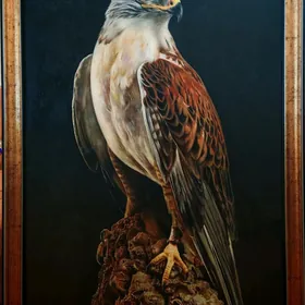 Gus. Птица ястреб
