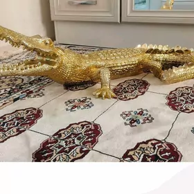 Krokodil zolotisti