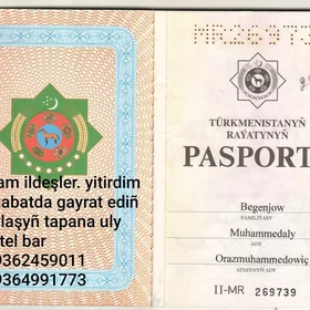 pasport yitirdim