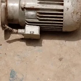 elektrodwigwtel