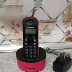 Panasonic