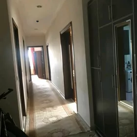 Satlyk podwoyskiy elitka