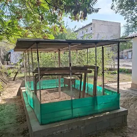 Towuk juyje yatak