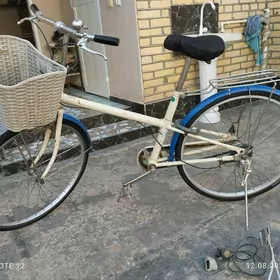 welosepet amatly
