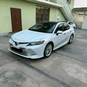 Toyota Camry 2019