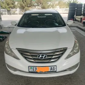 Hyundai Sonata 2010