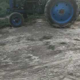 MTZ 80 2021