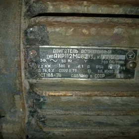 elektrik mator diwitil