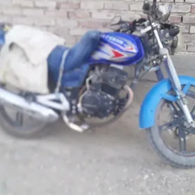 Fekon FK150-8G 2013