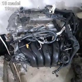 Carolla dwitel 18dual