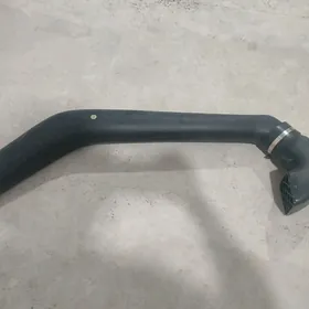 snorkel