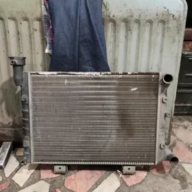 Radiator injector