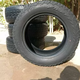 pakrysga