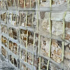 Tebigy daş kafel