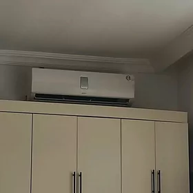 kansianer 60lyk