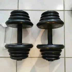 gantel