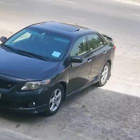 Toyota Corolla 2010