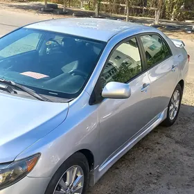 Toyota Corolla 2010