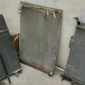 Radiatotlar