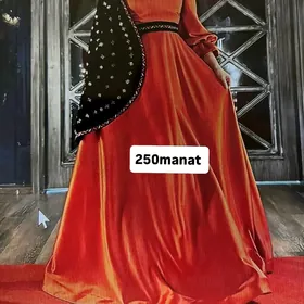 SATLYK KOYNEK️