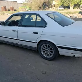 BMW  morda
