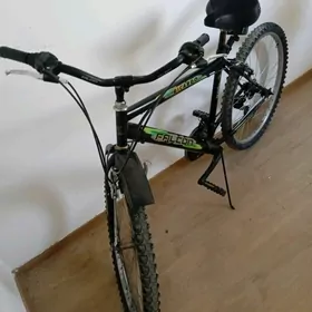 Tigir 26lyk