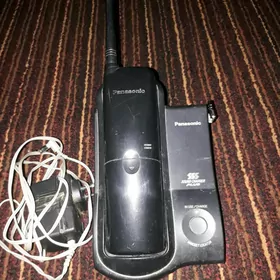 Telefon domaşniý