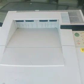 Printer H/P