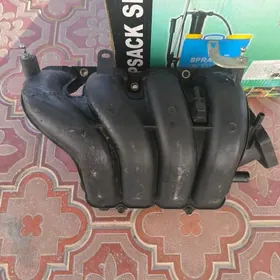 Corolla 17 Pauk