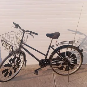tigir 26 lyk