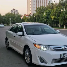 Toyota Camry 2013