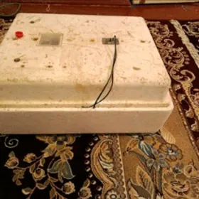 инкубатор inkubator