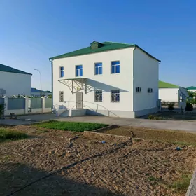 Taze zaman kateź