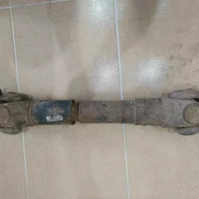 Howo kiçi kardan.
