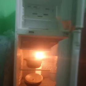 National haladilnik