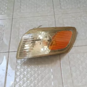 poworotnik babyçka
