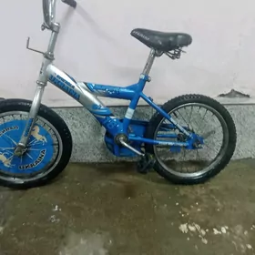 welsapet