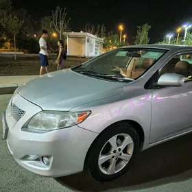 Toyota Corolla 2010