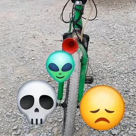 Turkmenistan tigir